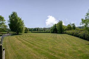 Paddock land- click for photo gallery